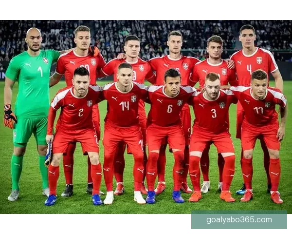 世界杯赛场前瞻专家深度解析热门球队胜负走势